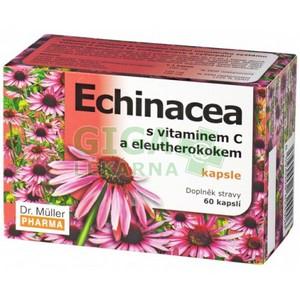 Echinacea s vitamínem C