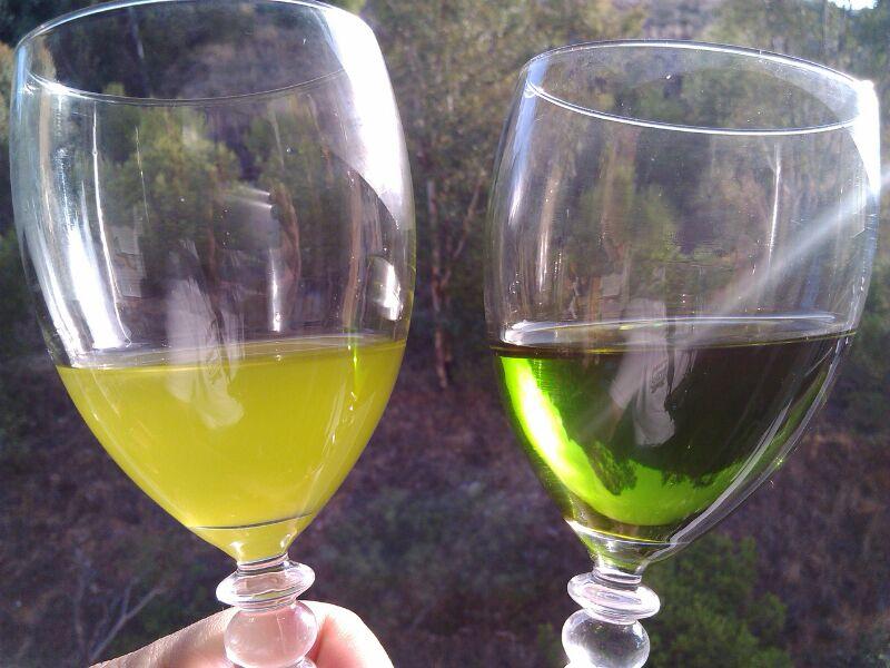 Kvalitní olivový olej
