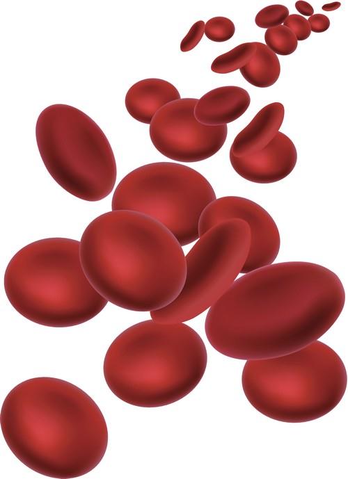 Doplňěk stravy NovoFerrin přispívá k normální tvorbě červených krvinek a hemoglobinu