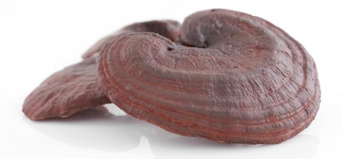 Reishi